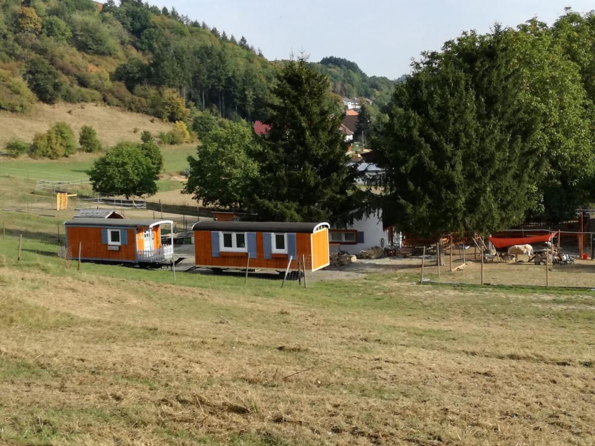 Zuruck Zur Natur - Urlaub Im Zirkuswagen, Sommeratelier Oder Schindelwagen Adenbach Zewnętrze zdjęcie