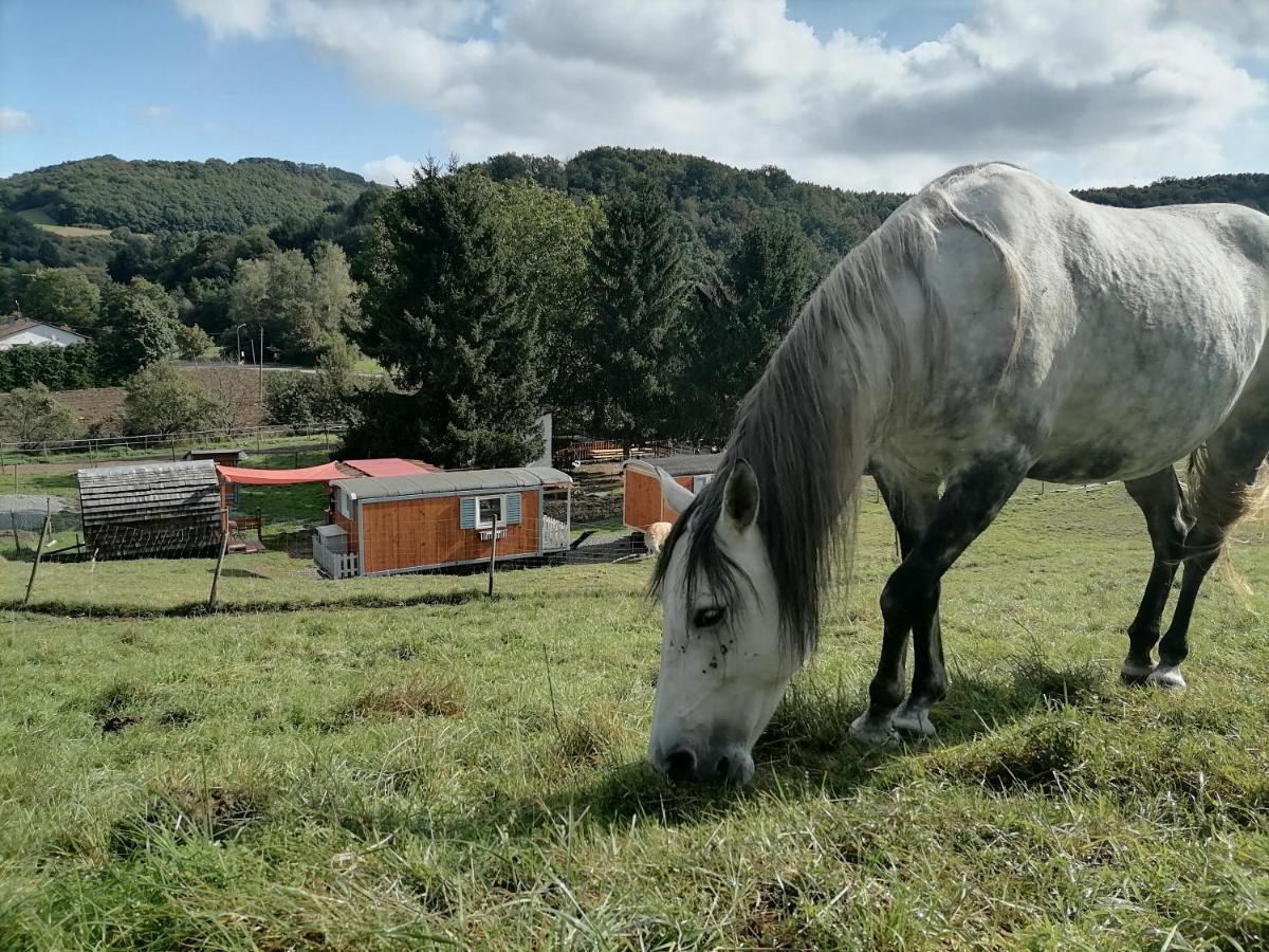 Zuruck Zur Natur - Urlaub Im Zirkuswagen, Sommeratelier Oder Schindelwagen Adenbach Zewnętrze zdjęcie