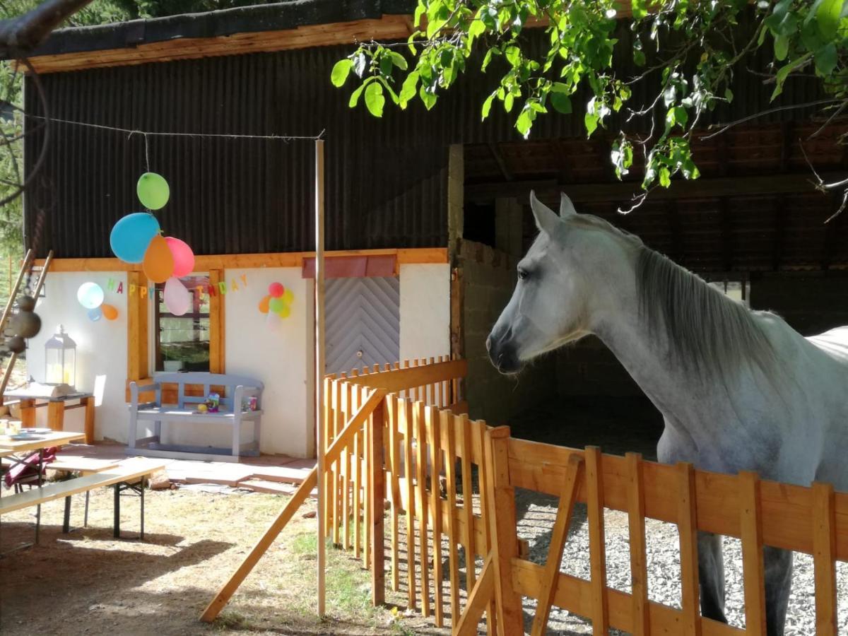 Zuruck Zur Natur - Urlaub Im Zirkuswagen, Sommeratelier Oder Schindelwagen Adenbach Zewnętrze zdjęcie