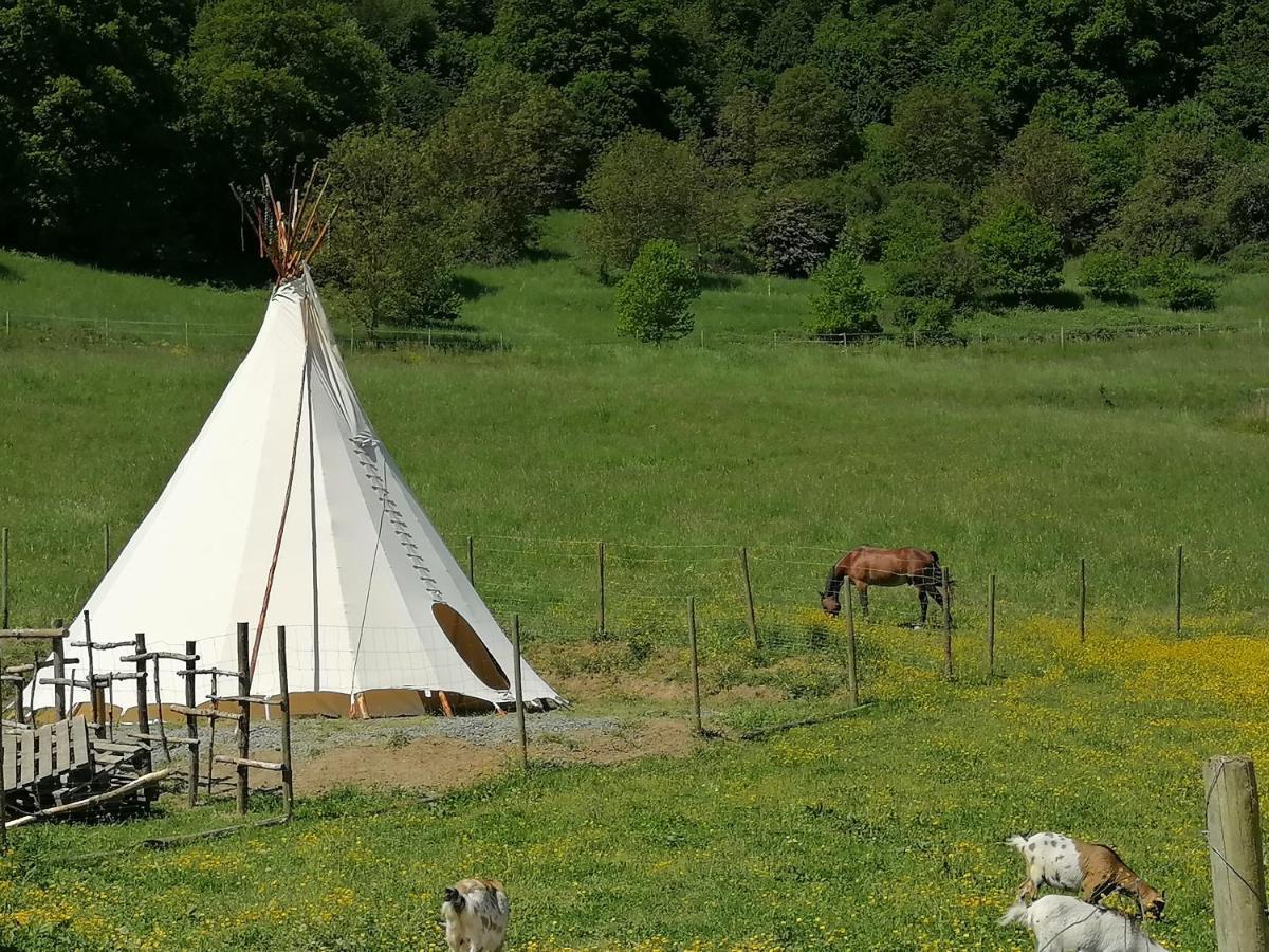 Zuruck Zur Natur - Urlaub Im Zirkuswagen, Sommeratelier Oder Schindelwagen Adenbach Zewnętrze zdjęcie