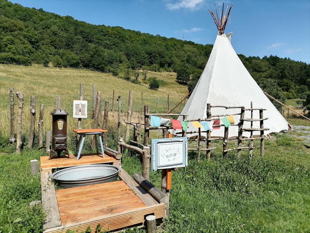 Zuruck Zur Natur - Urlaub Im Zirkuswagen, Sommeratelier Oder Schindelwagen Adenbach Zewnętrze zdjęcie